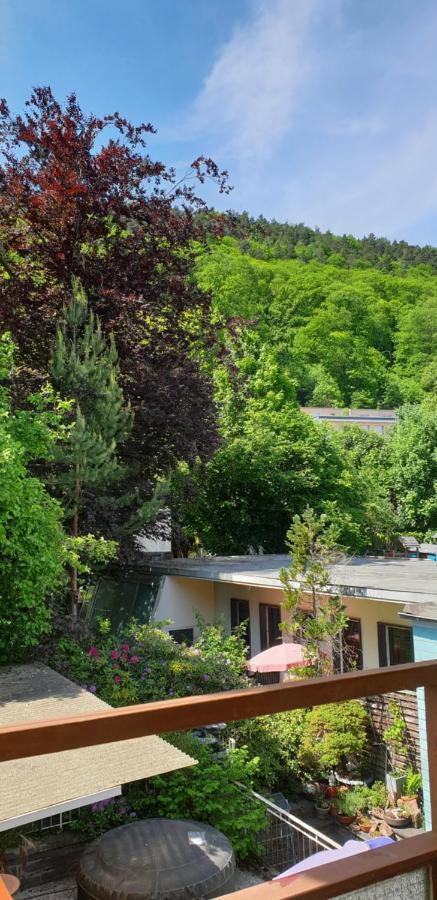 Maisonette Elisabeth Trevír Exteriér fotografie